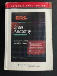 Gross anatomy BRS book